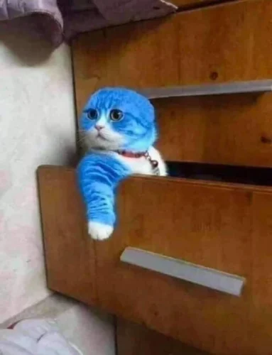Meme Doraemon 23