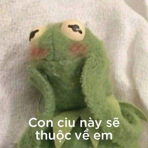 Meme ếch 30