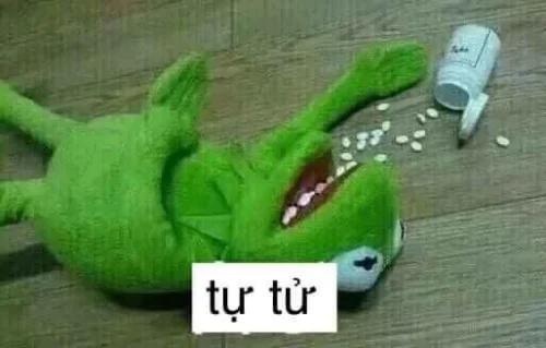 Meme ếch 33