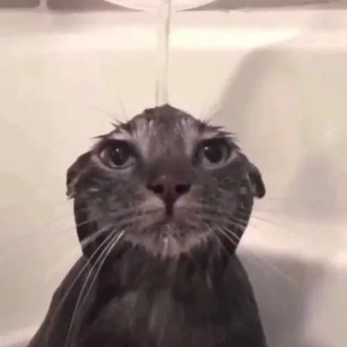 Meme face 19