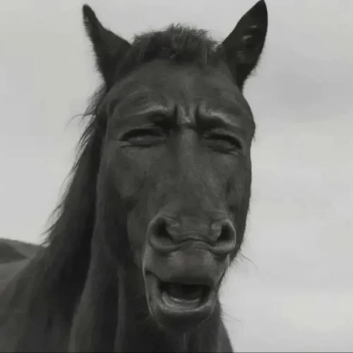 Meme face 3