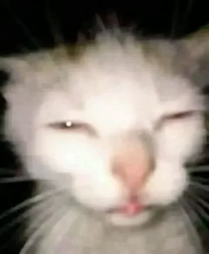 Meme face 15