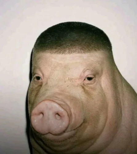 Meme face 21