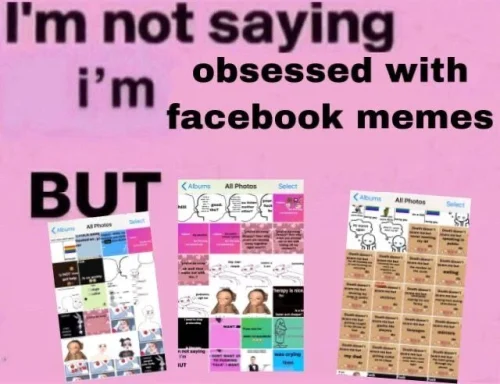 Meme Facebook 1