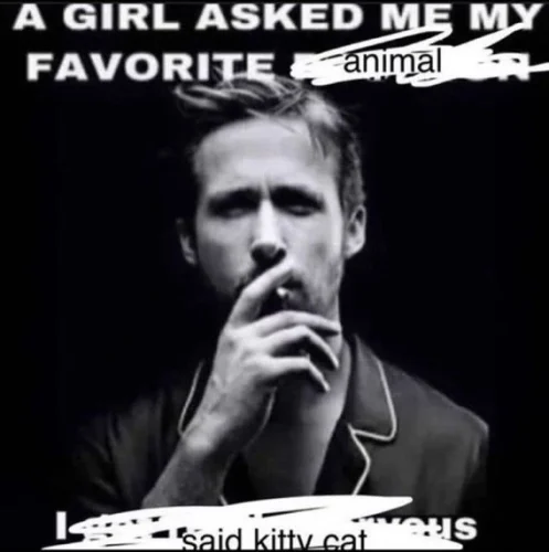 Meme Facebook 9