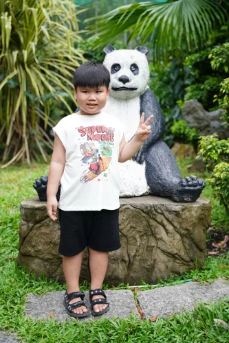 Gấu trúc cầm cốc nhâm nhi với chữ Tiếp đi tao đang xem, kiểu hóng chuyện