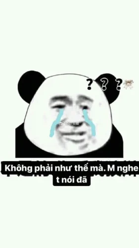 Meme gấu trúc 10
