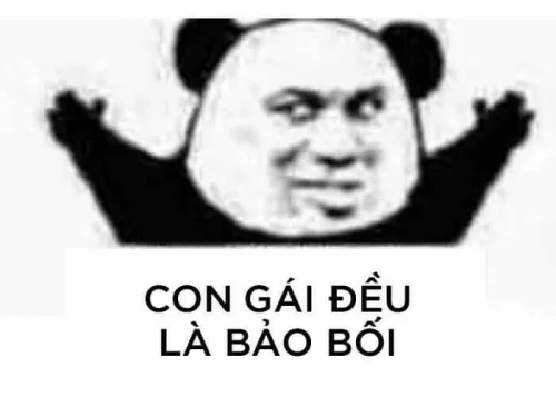 Meme gấu trúc 11