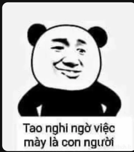 Meme gấu trúc 12