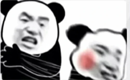 Meme gấu trúc 15