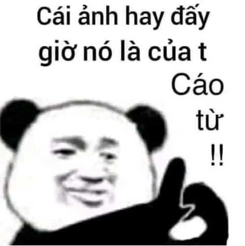 Meme gấu trúc 24