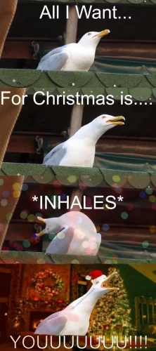 Meme Giáng sinh 18