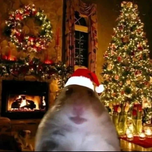 Meme Giáng sinh 21