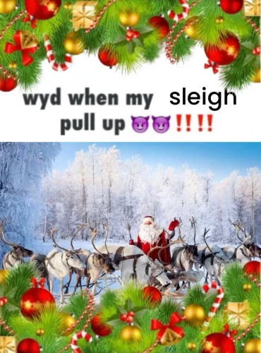 Meme Giáng sinh 33