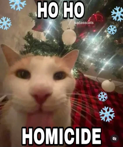 Meme Giáng sinh 41