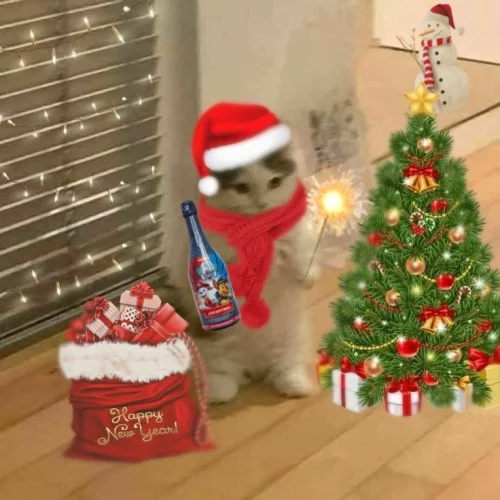 Meme Giáng sinh 47