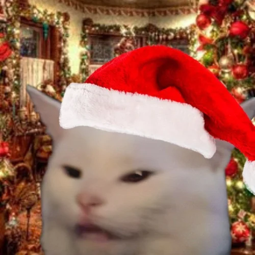 Meme Giáng sinh 19