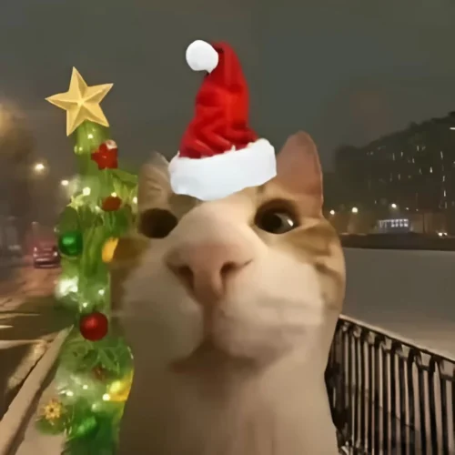 Meme Giáng sinh 20