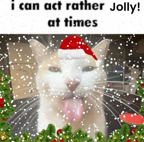 Meme Giáng sinh 22