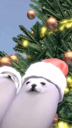 Meme Giáng sinh 25