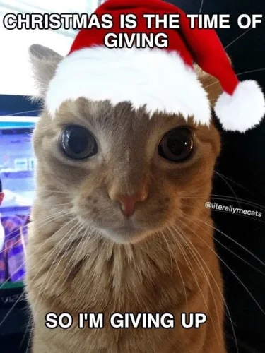Meme Giáng sinh 26