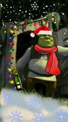 Meme Giáng sinh 35