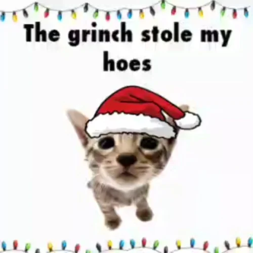Meme Giáng sinh 38