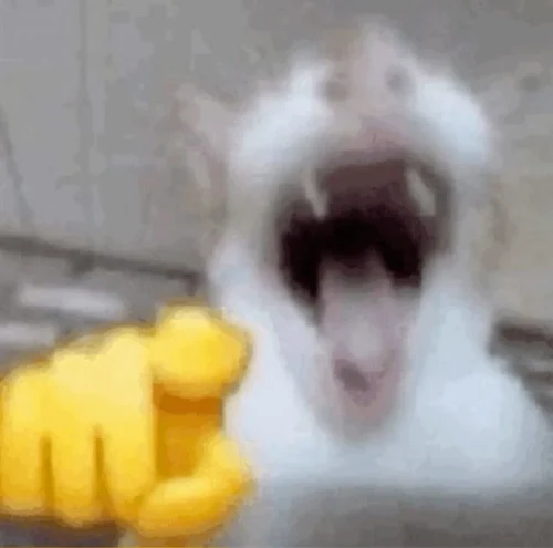 Meme haha 30