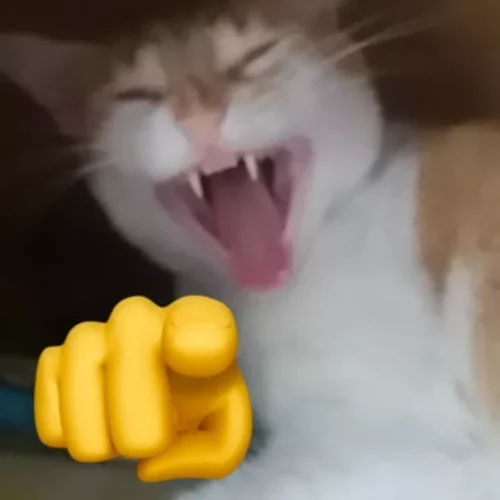 Meme haha 54