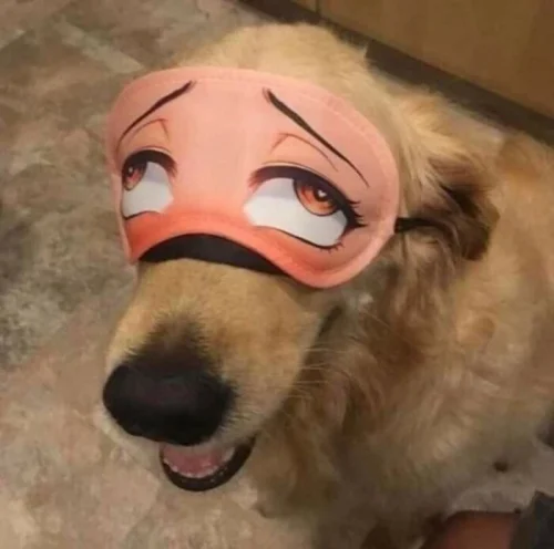 Meme haha 7