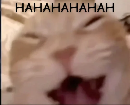 Meme haha 8