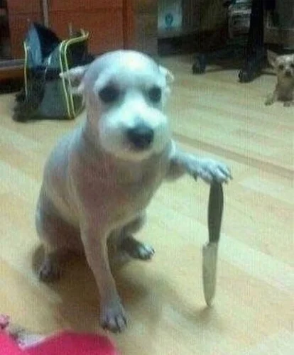 Meme haha 10