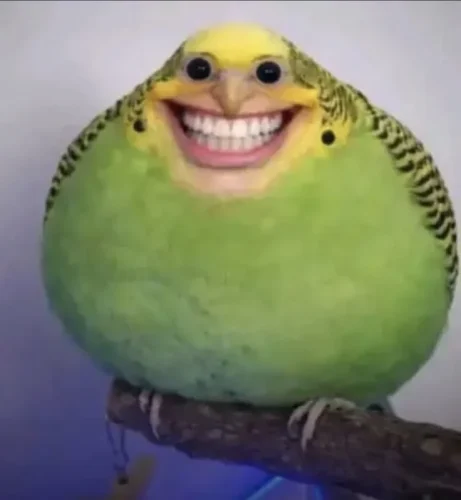Meme haha 13