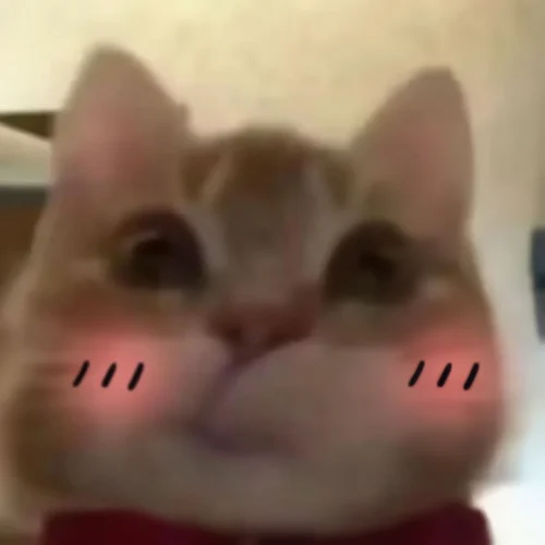 Meme haha 16