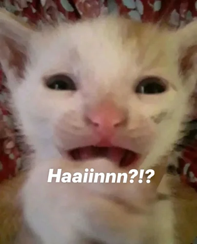 Meme haha 18