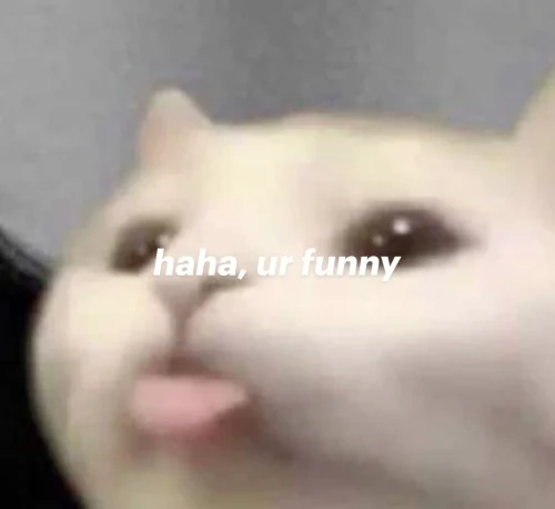 Meme haha 33