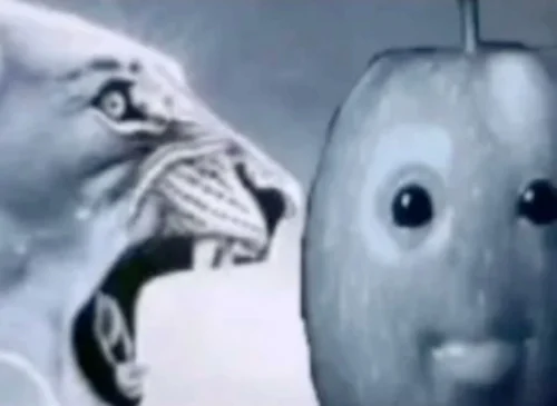 Meme haha 42