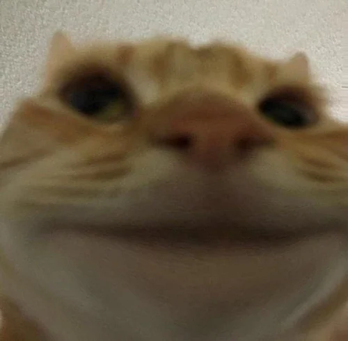 Meme haha 54