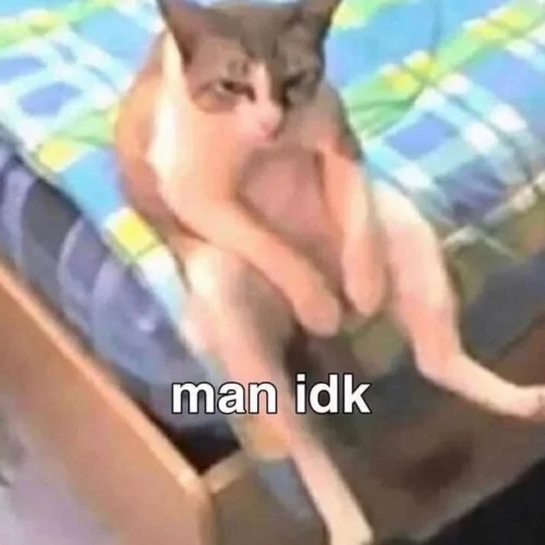 Meme haha 55