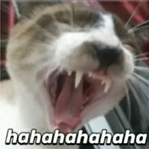 Meme haha 21