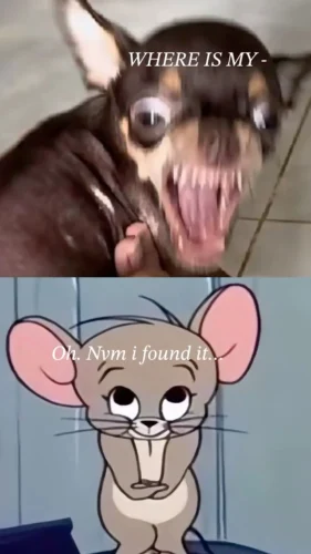 Meme haha 46