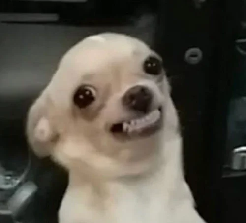 Meme haha 55
