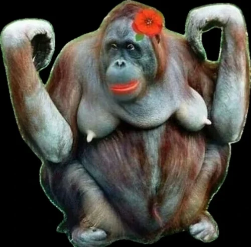 Meme haha 4