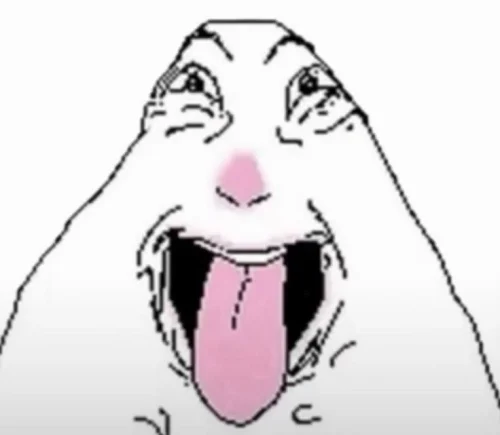 Meme heo 13