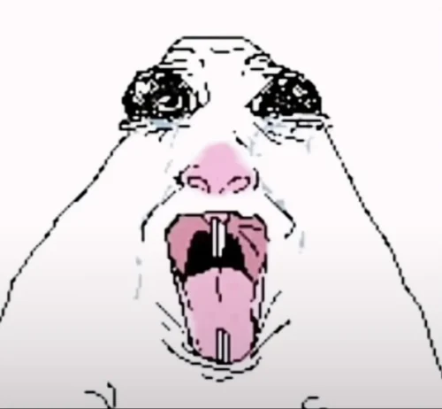 Meme heo 23