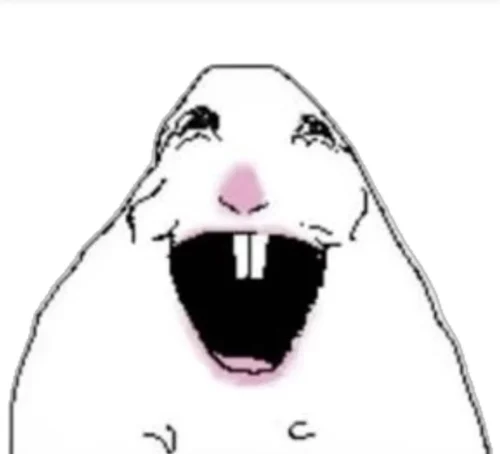 Meme heo 30