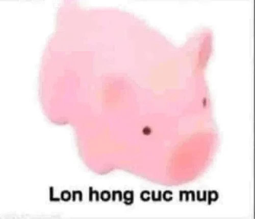 Meme heo 31