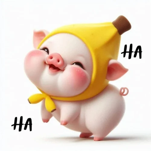 Meme heo 32
