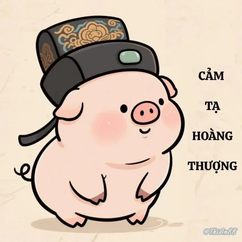 Meme heo 39