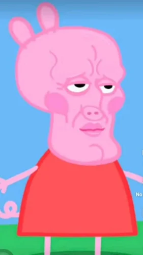 Meme heo 7